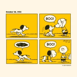 Peanuts Enamel Pin - Snoopy With Mask