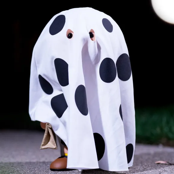 Peanuts Supersize- Charlie Brown (Ghost Sheet)