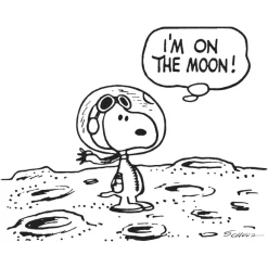 Peanuts T-Shirt - Snoopy On The Moon Ringer