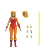 Thundercats Ultimates! Wave 6 - Cheetara [Toy Recolor] (Pre-Order)